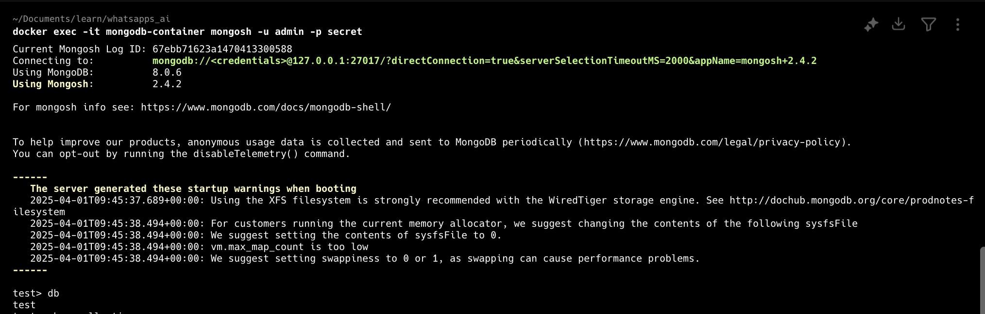 Access MongoDB in terminal