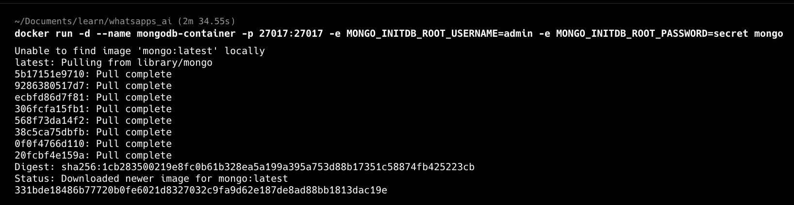 Docker install MongoDB
